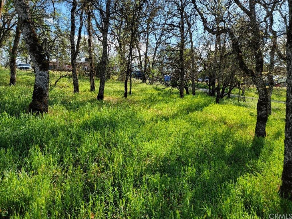 15696 34th Avenue - Photo 1