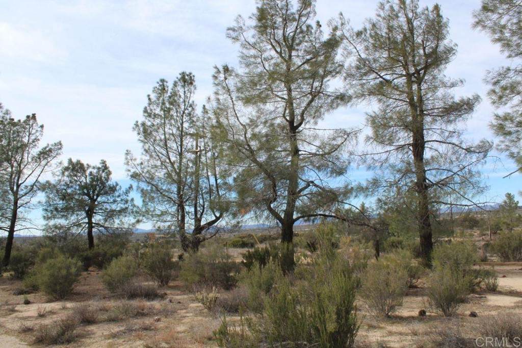 Tierra Del Sol Road - Photo 1