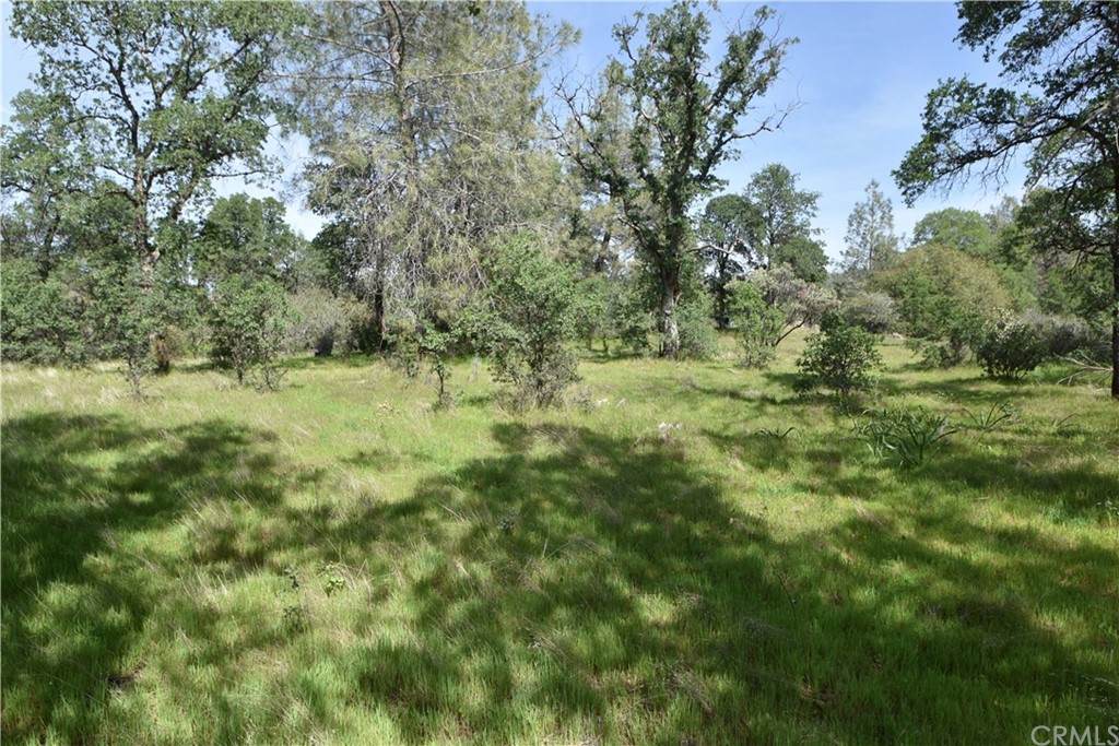 0 Verner Oaks Drive - Photo 1