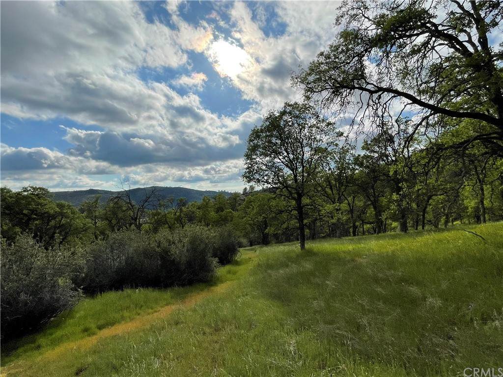 5345 Mariposa Heights - Photo 1