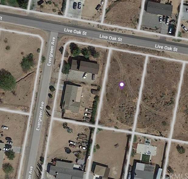 0 Live Oak Street - Photo 1