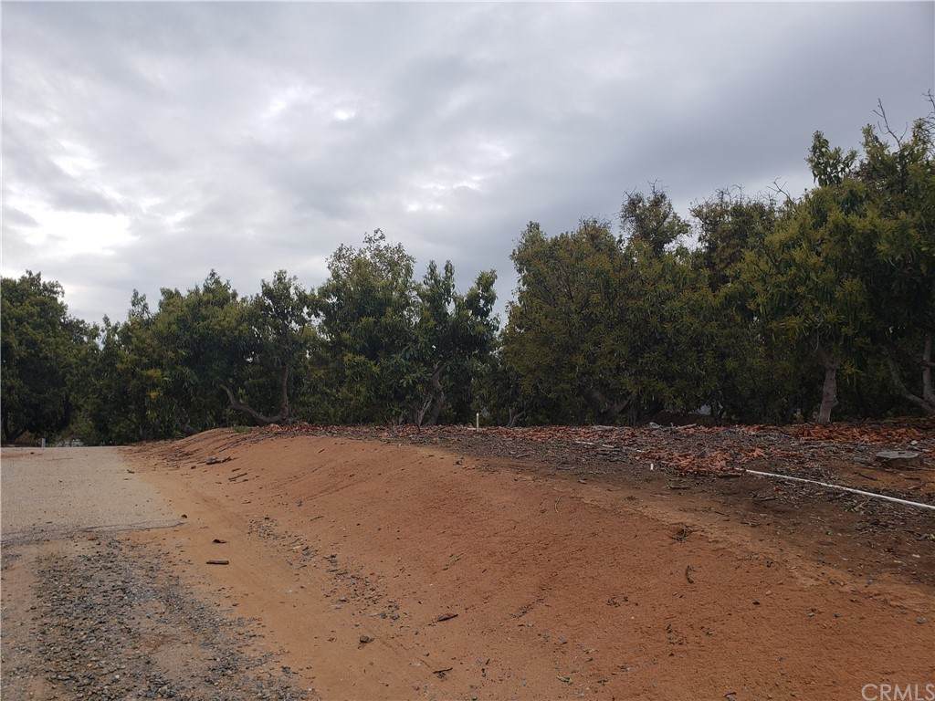 23723 Serreno Road - Photo 1