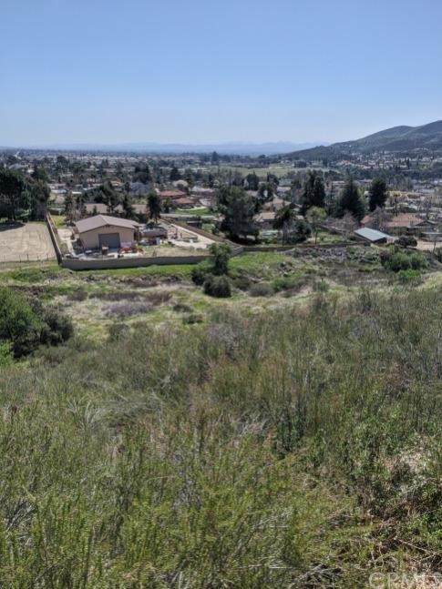 35246 Kadota St - Photo 1