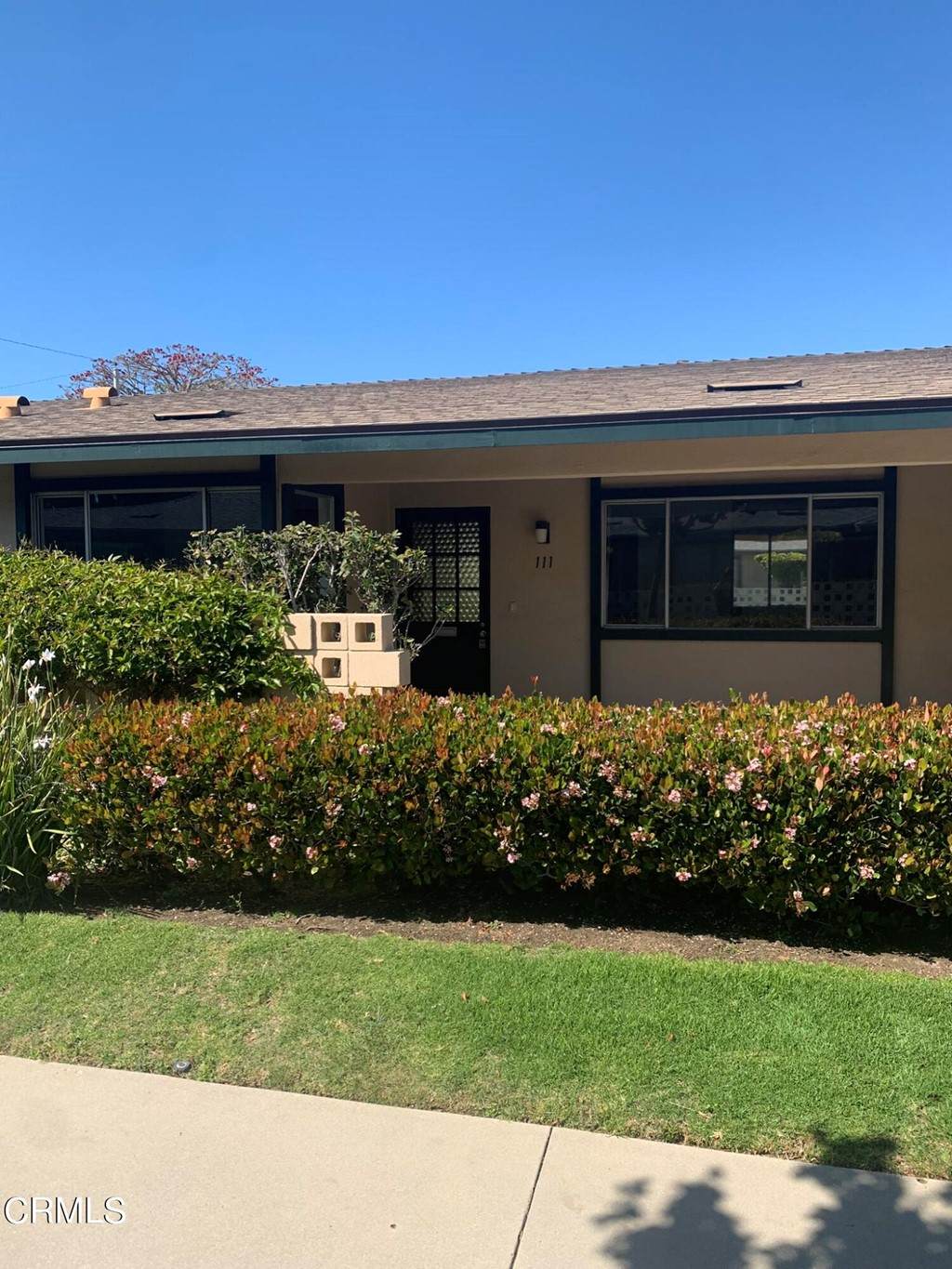111 Alta Green Green - Photo 1