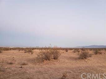 0 Near Verano Drive - Photo 1