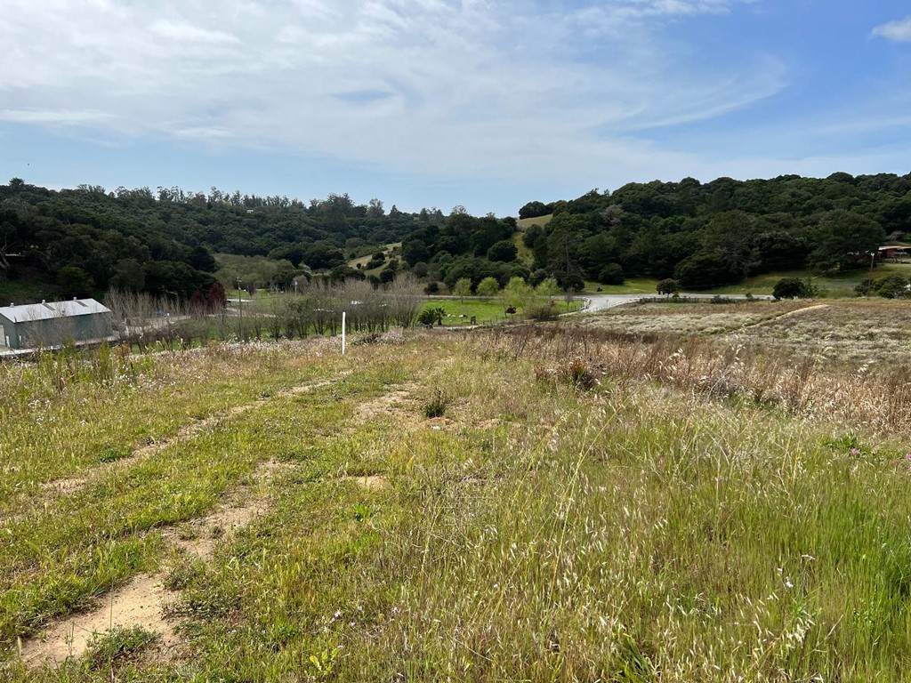 14561 Tumble Weed Lane - Photo 1
