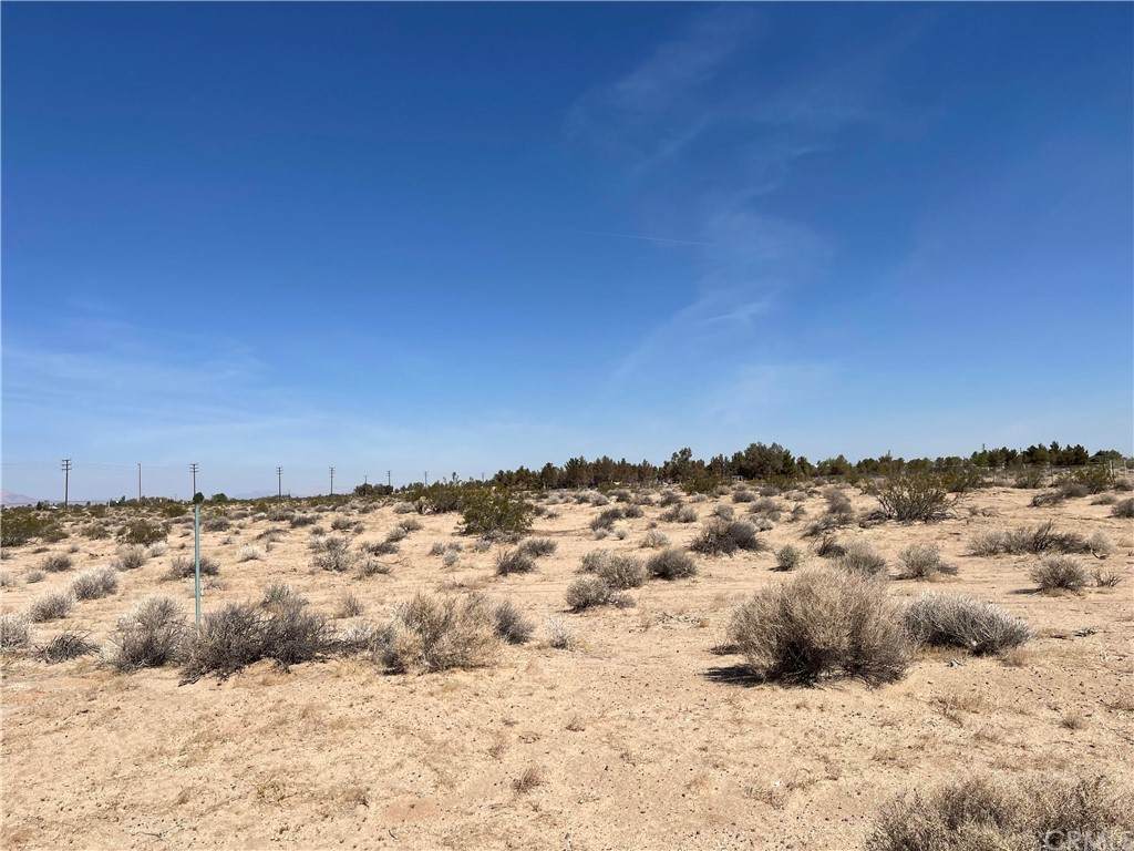 46580 Fairview Road - Photo 1