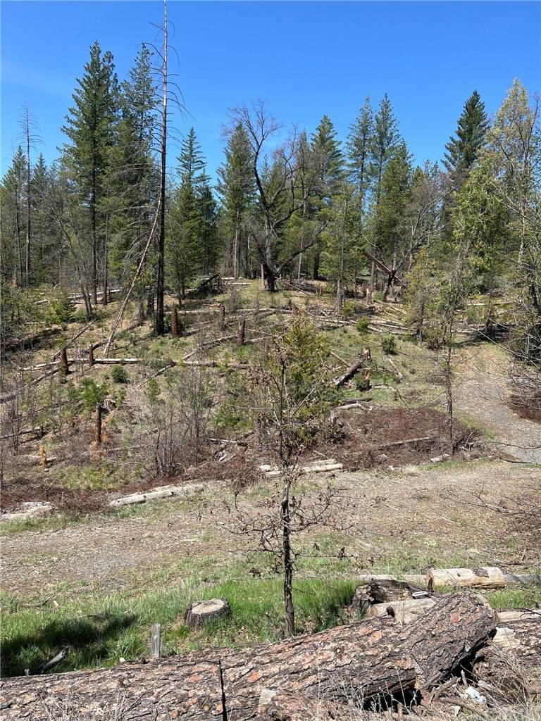 6493 Greeley Hill Road - Photo 1