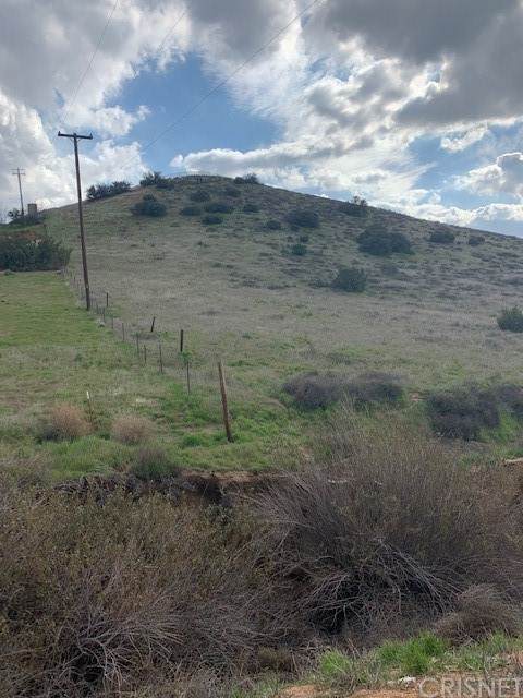 0 Sierra Hwy. Road - Photo 1