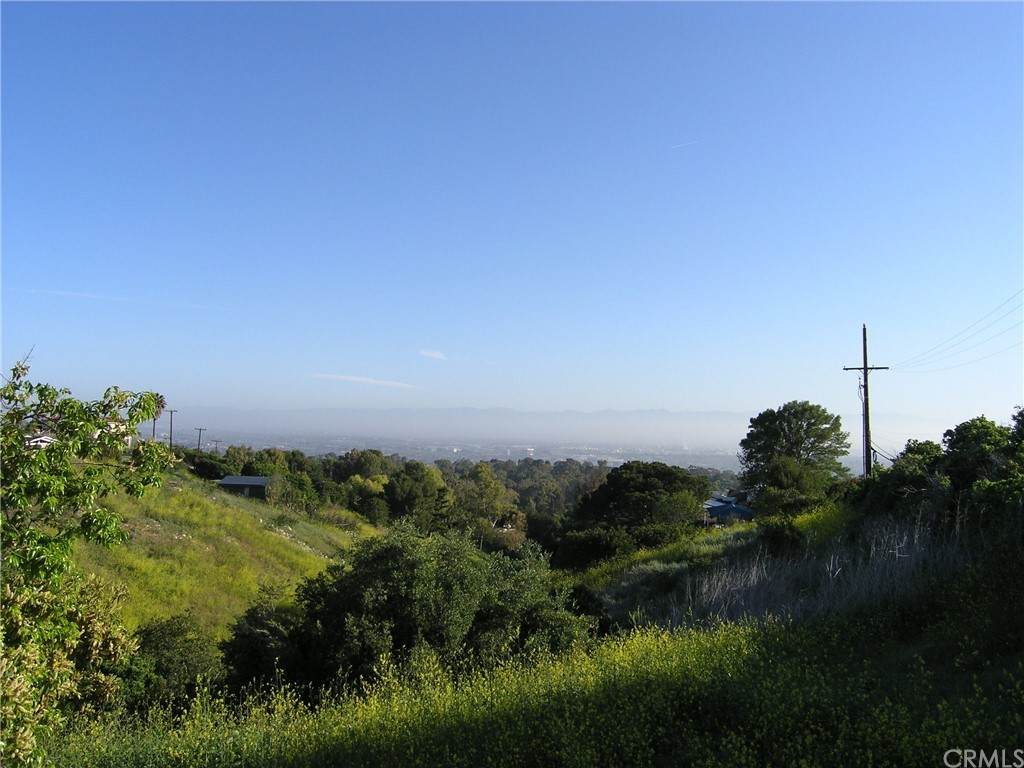 5323 Ironwood - Photo 1