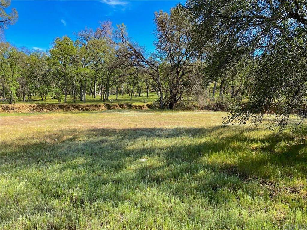 15705 State Highway 36 W - Photo 1