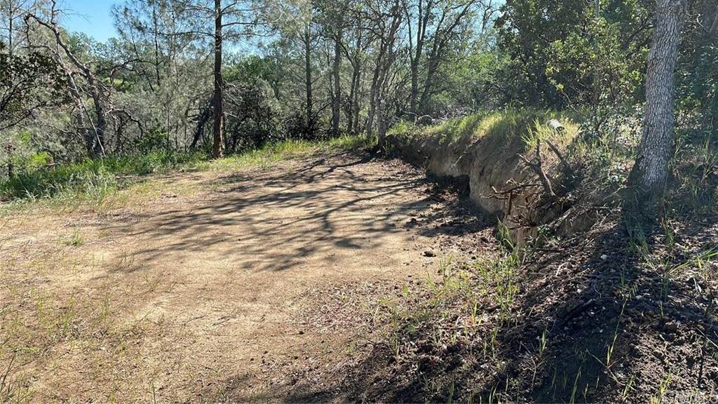 16180 Hillcrest Road - Photo 1