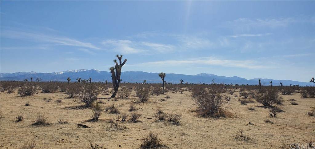 0 5 Acres Off Wilson Ranch Road - Photo 1