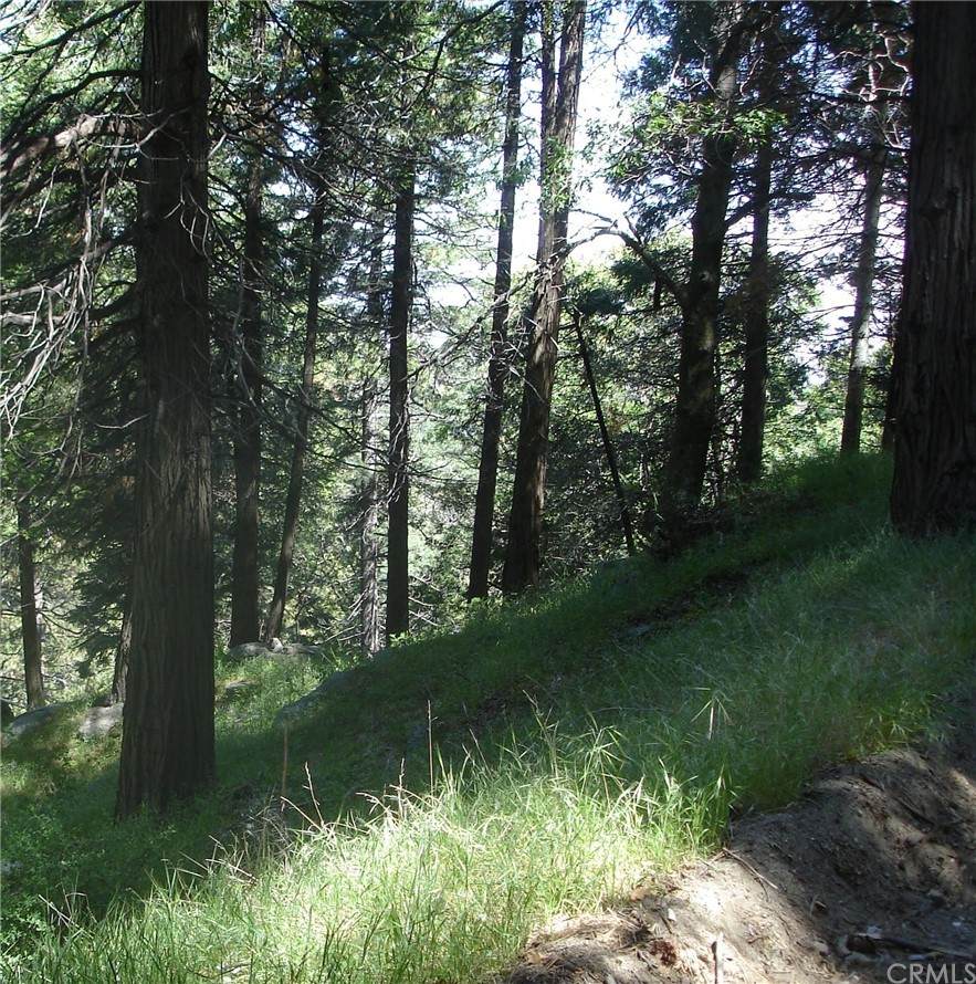 15 Mojave River Road - Photo 1