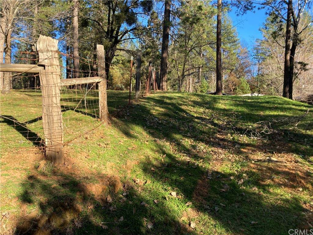 0 Surcease Mine Road - Photo 1