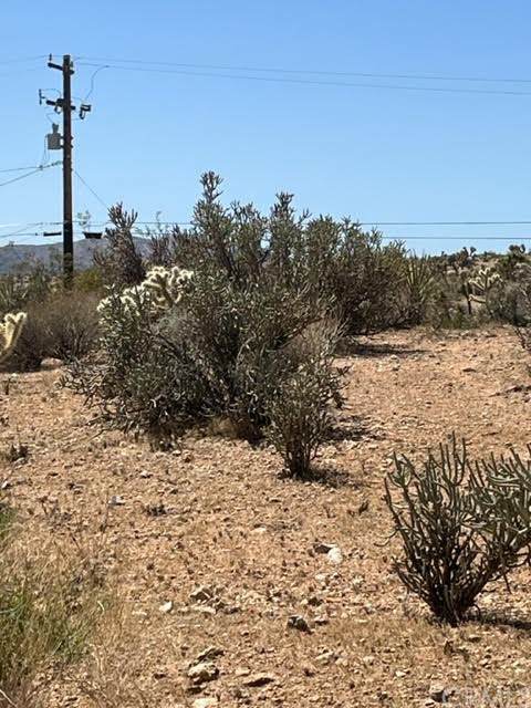 0 Old Haggard Road - Photo 1