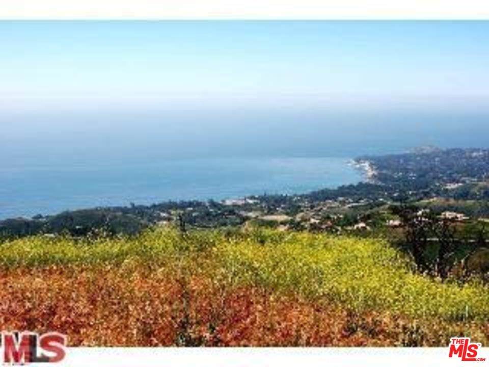 0 Latigo - Photo 1