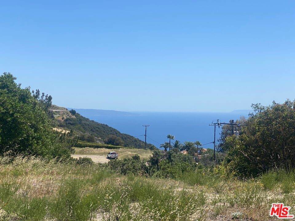 23118 Saddle Peak Road - Photo 1