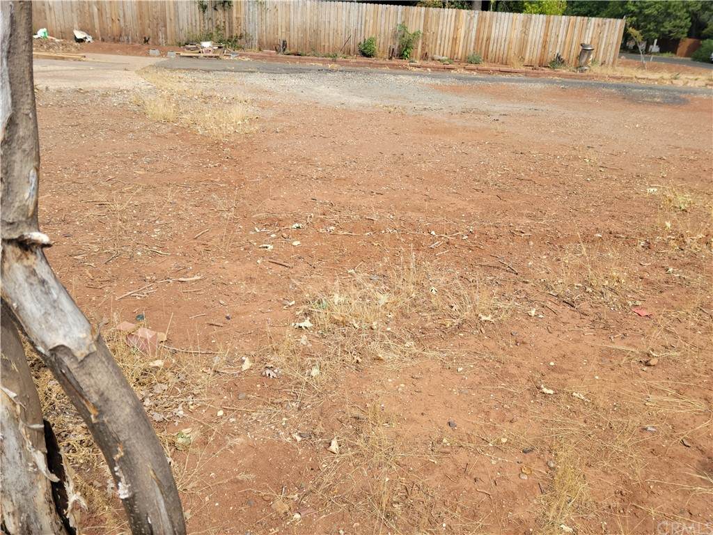 13587 Park Drive - Photo 1