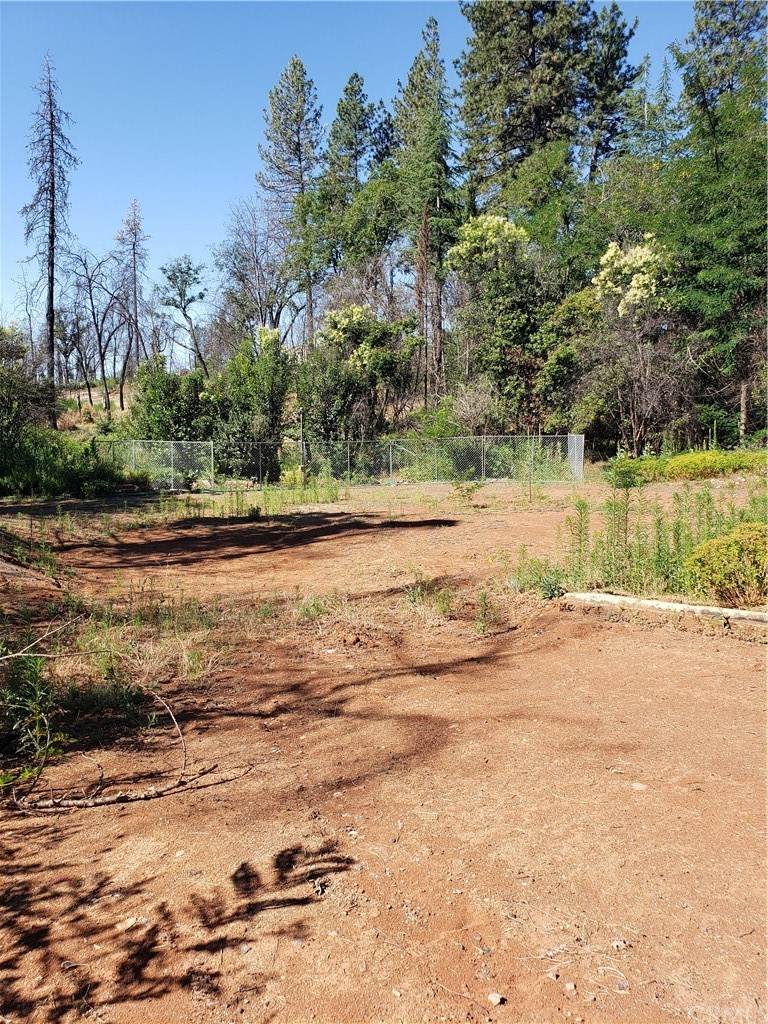 1224 Pearson Road - Photo 1