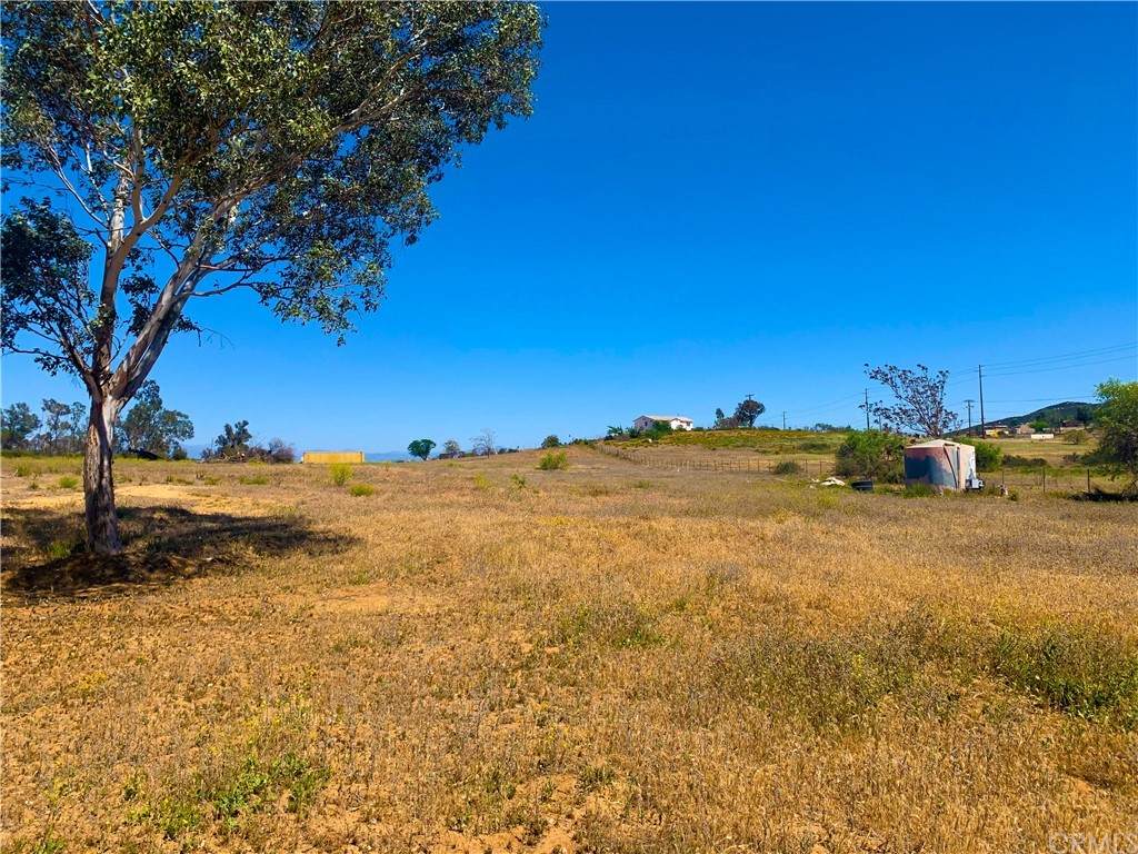 32890 Cottonwood Canyon Road - Photo 1