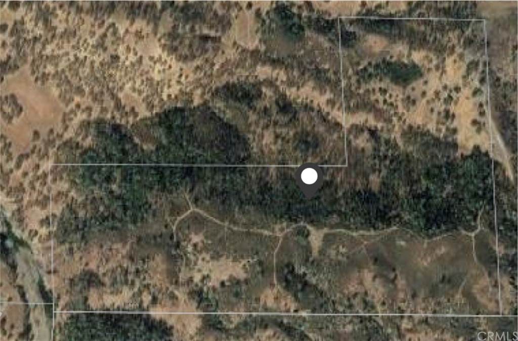 24673 Jerusalem Grade - Photo 1