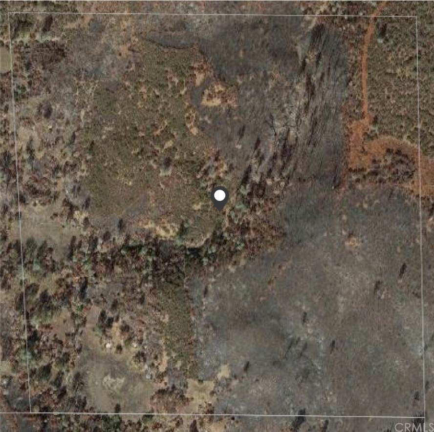 25979 Jerusalem Grade - Photo 1