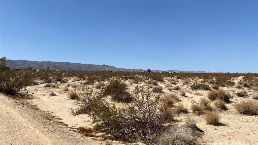 0 Mesquite Springs Rd - Photo 1