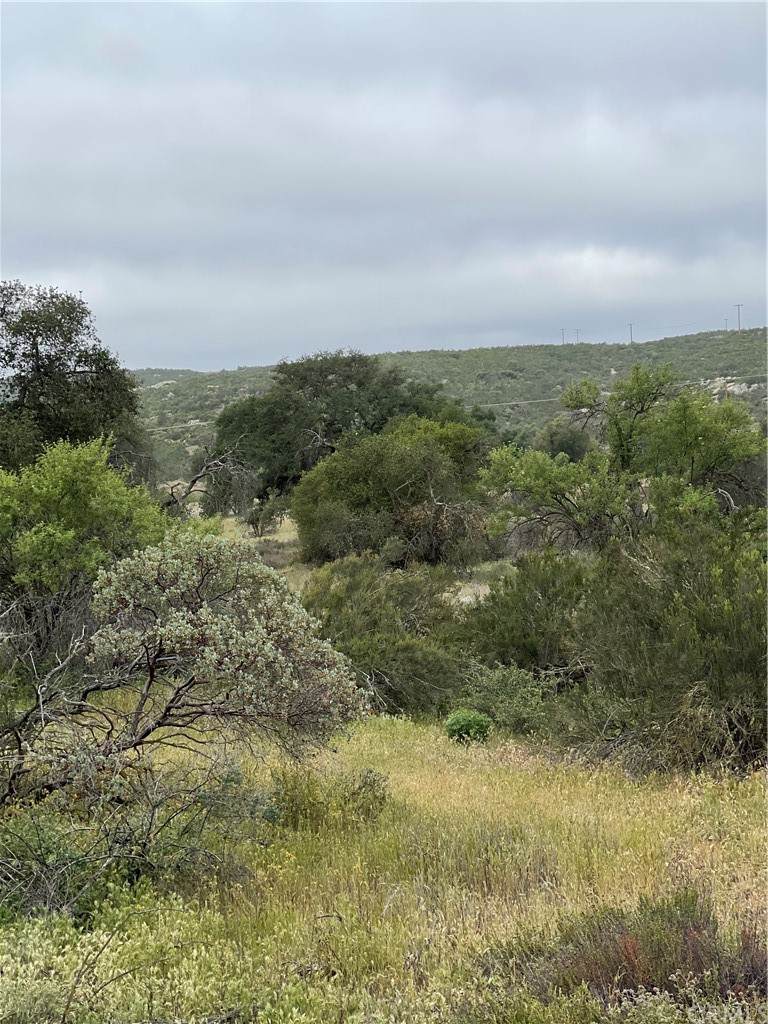 43 Sable Drive - Photo 1