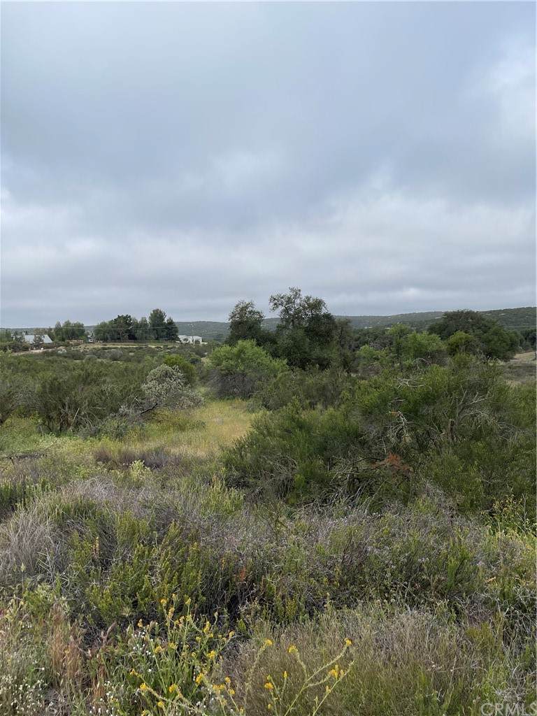 44 Sable Drive - Photo 1