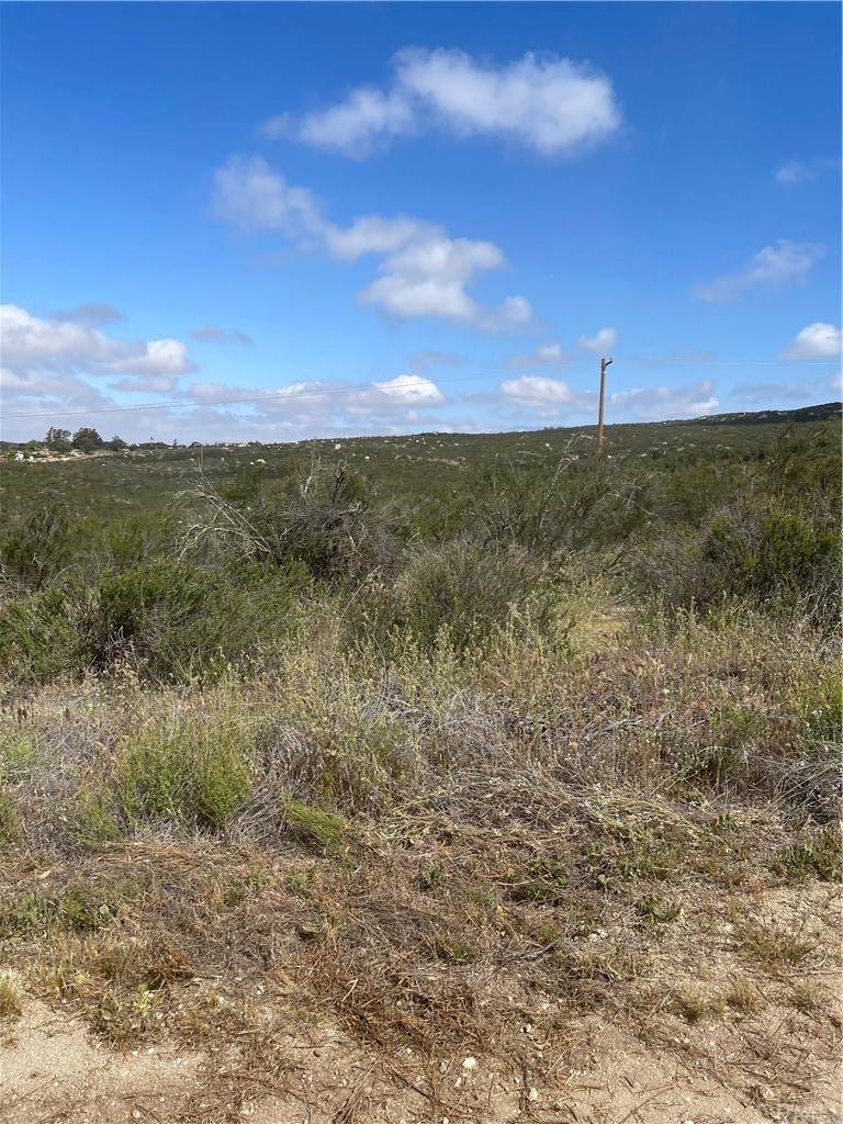 48 Sable Drive - Photo 1