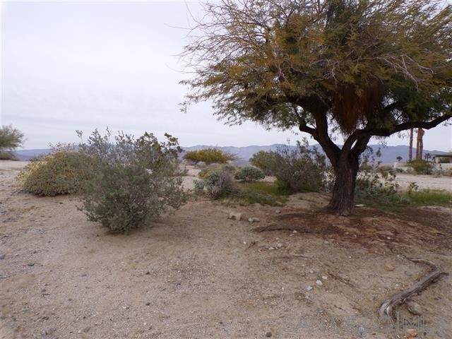 0 Hunter Drive - Photo 1