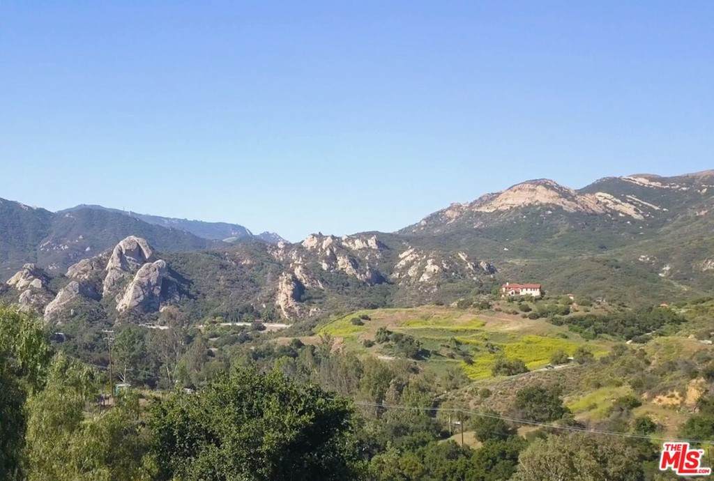 2750 Topanga Skyline Drive - Photo 1