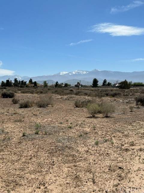 0 Coyote Road - Photo 1