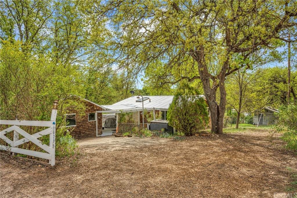 16775 Dam Road - Photo 1