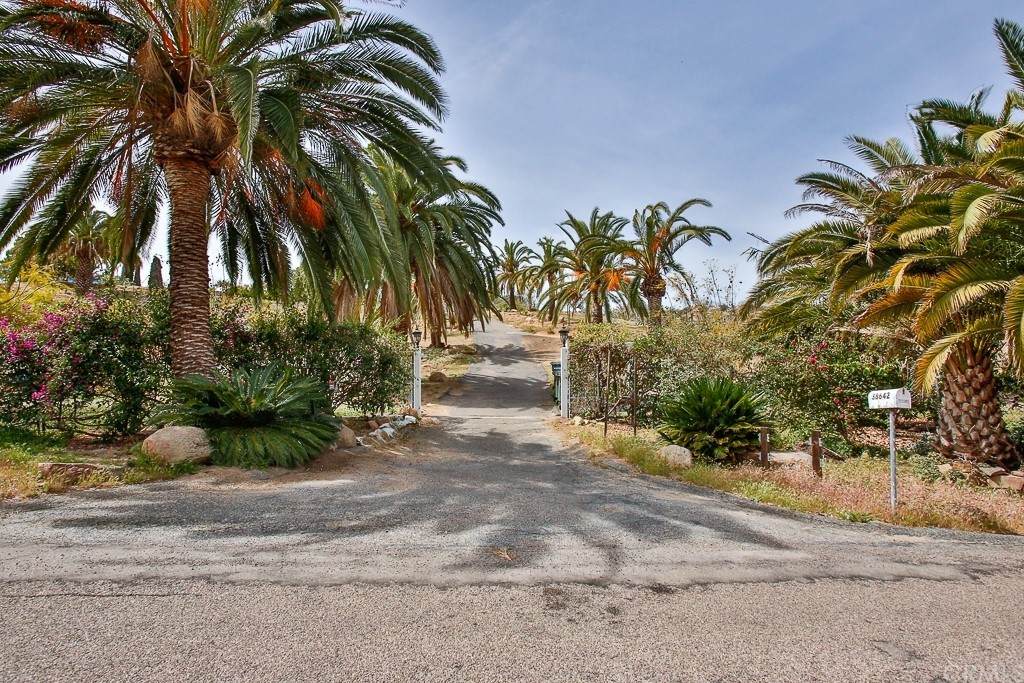 38642 Harris Trail - Photo 1