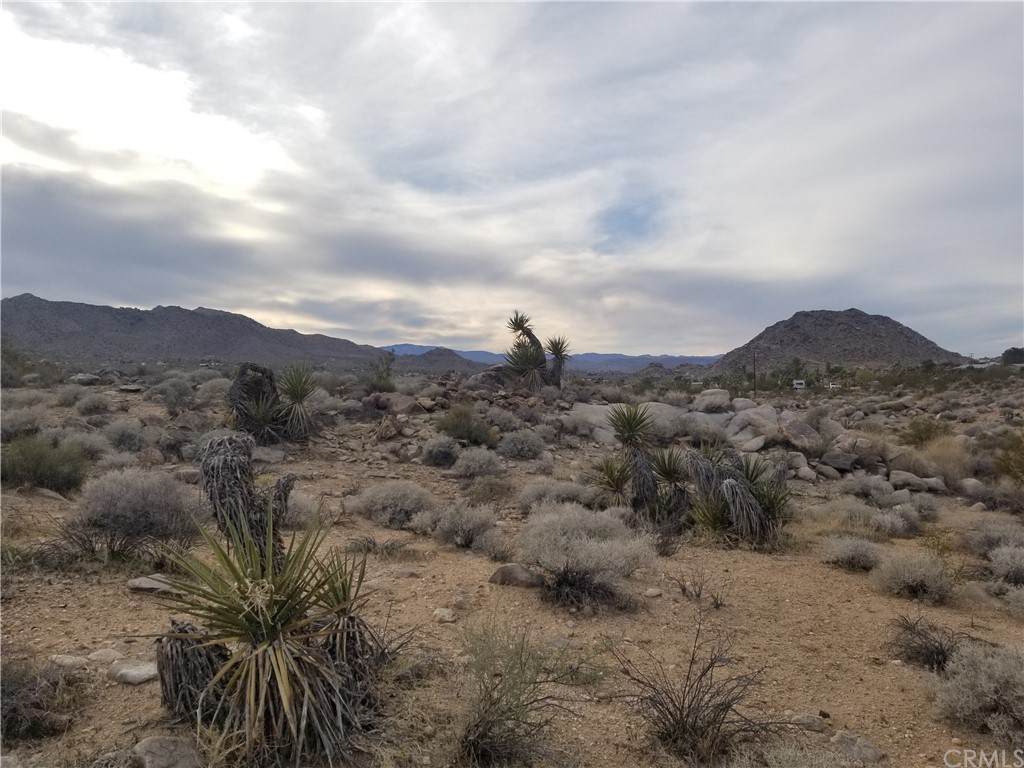0 Lobo Pass Road - Photo 1