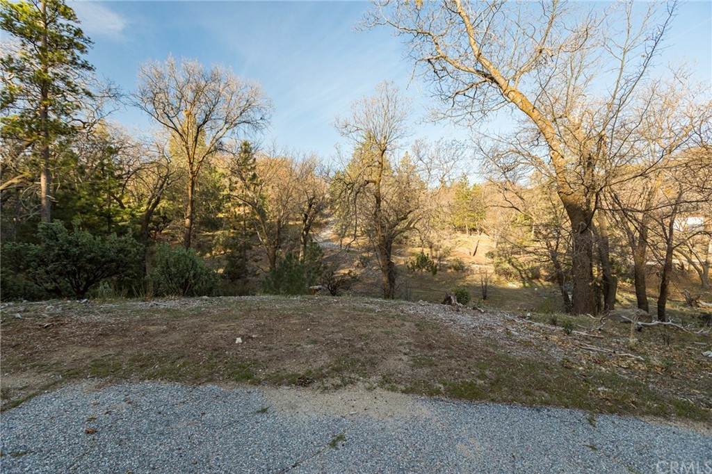 0 Rock Ridge Drive - Photo 1
