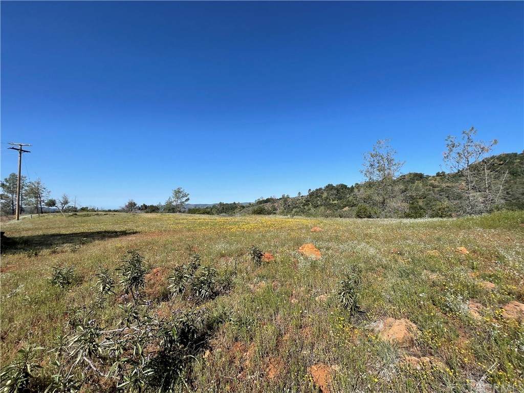 0 Yellow Pine Hill Drive - Photo 1