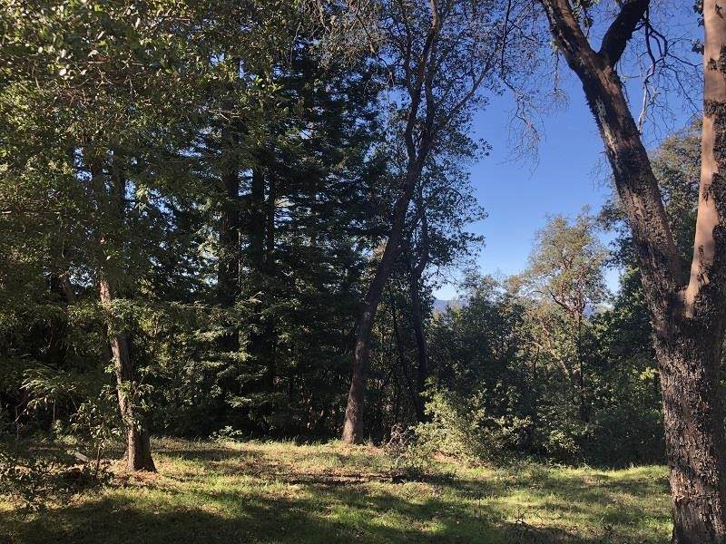 18365 Bear Creek Road - Photo 1
