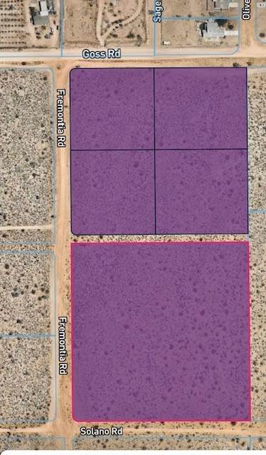 0 Eucalyptus - Photo 1