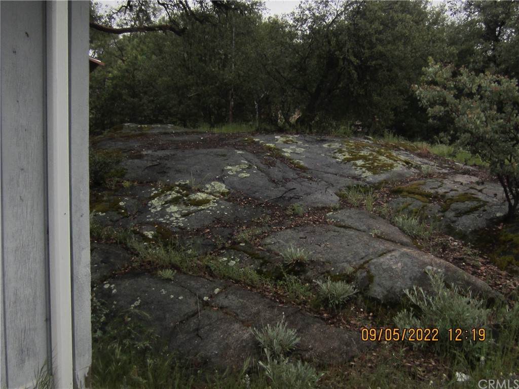4894 Whitmore Drive - Photo 1