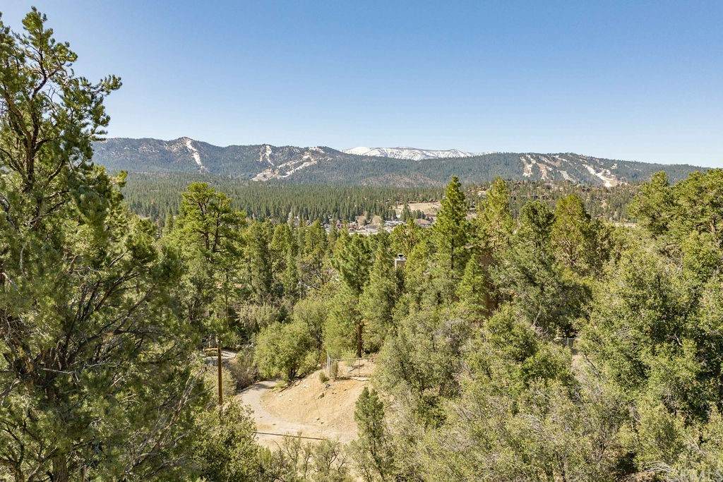 1105 Crater Mountain - Photo 1