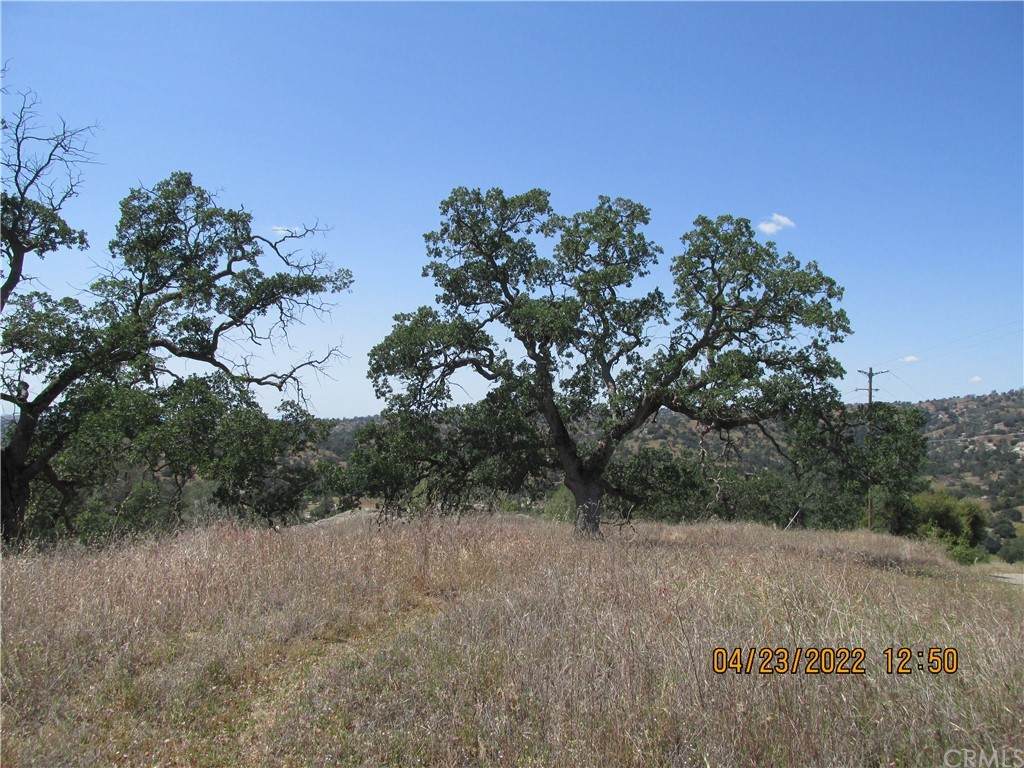 0 4.65 AC Lilley Mountain Drive - Photo 1