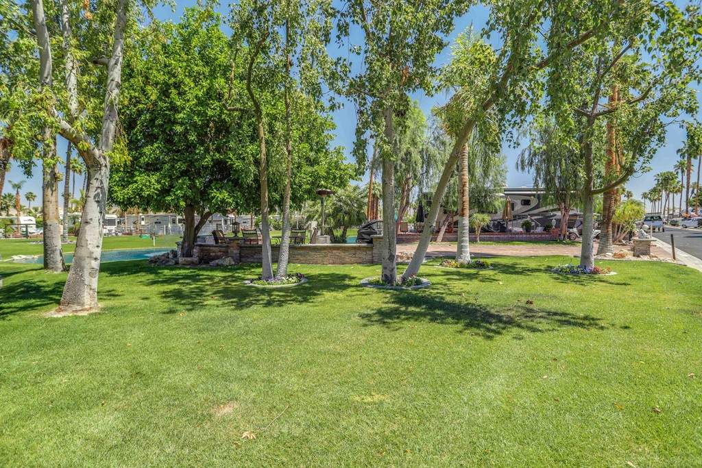 69411 Ramon Road - Photo 1