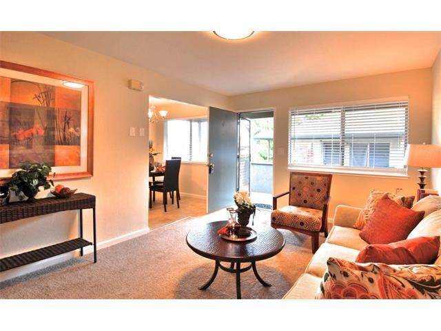5893 El Zuparko Drive - Photo 1