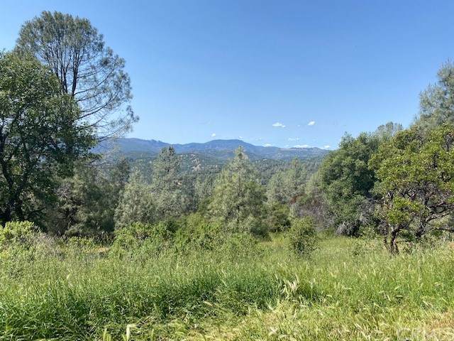 15781 Little Peak Road - Photo 1