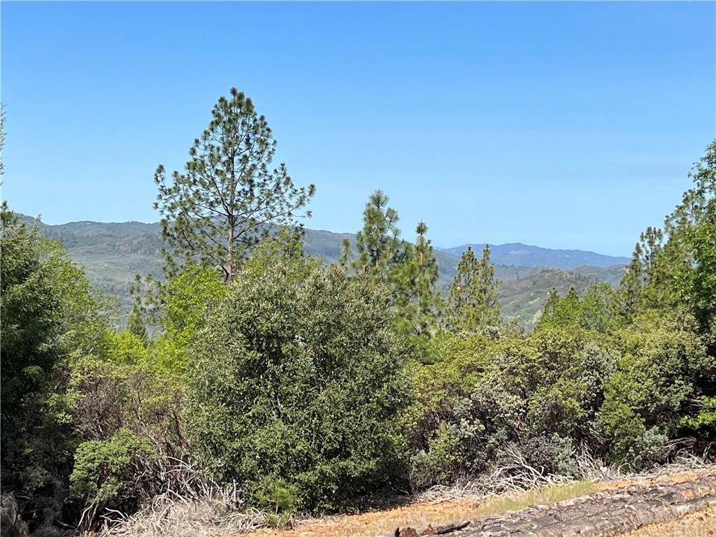9003 Fox Drive - Photo 1