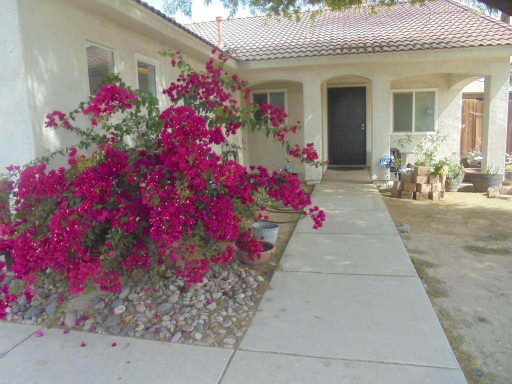 625 Rice Street - Photo 1