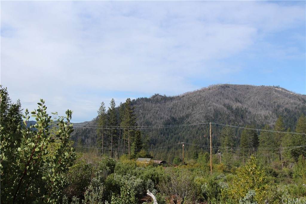 11123 Oak Street - Photo 1